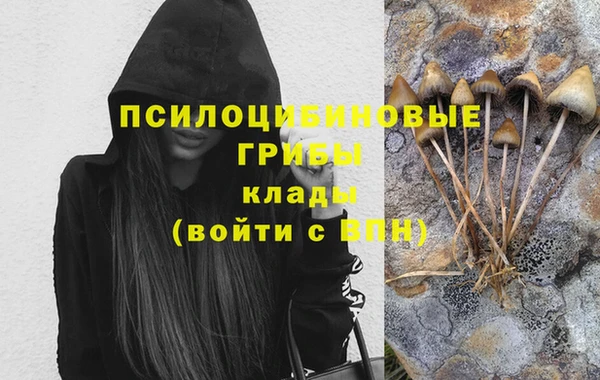 не бодяженный Нязепетровск
