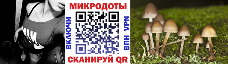 Псилоцибиновые грибы MAGIC MUSHROOMS  Луга 