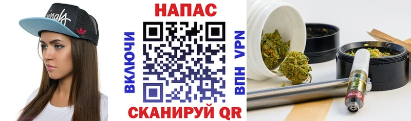 Бошки Шишки планчик  Луга 
